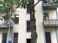 Wohnimmobilie Kauf Etagenwohnung 2-Raum Wohnung im 2.OG im sanierten Altbau