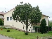 Wohnimmobilie Kauf Einfamilienhaus Ruhige Randlage - gute Luft und den ganzen Tag Sonne!