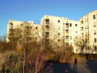 Wohnimmobilie Kauf Etagenwohnung Helle und gut geschnittene Wohnung mit weitläufigem Blick ins Grün