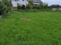 Wohnimmobilie Kauf Mehrfamilienhaus 400 m² Grundstück in Harthausen im Neubaugebiet "Im Sand"