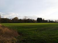 Gewerbeimmobilie Landwirtschaft/Forst/Bauerwartungsland Großes landwirtschaftlich genutztes Grundstück in Dortmund-Kirchderne.
