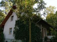 Wohnimmobilie Kauf Einfamilienhaus Gepflegtes Haus im beliebten Wohngebiet Machern-Waldwinkel