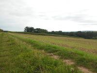 Gewerbeimmobilie Landwirtschaft/Forst/Bauerwartungsland Bauland in Planungsphase für 16 Bauplätze