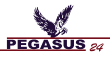 Pegasus24 - Pegasus GmbH