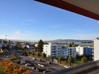 Wohnimmobilie Kauf Etagenwohnung Renovationsbedürftige Wohnung an guter Wohnlage