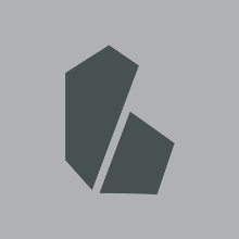 Buchwieser Immobilien GmbH